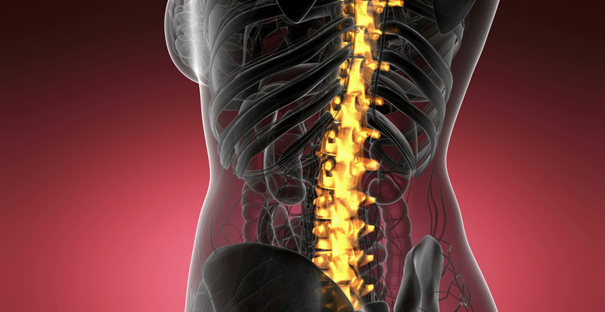 Back pain header