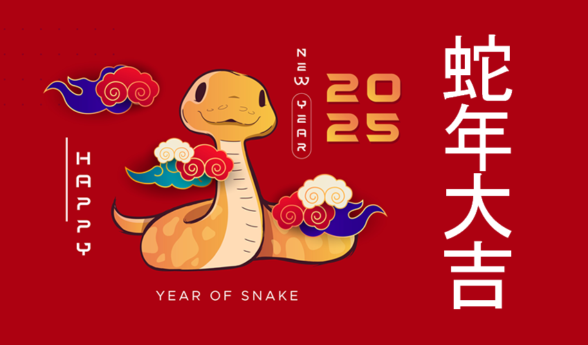 Good Luck in the Year of the Snake